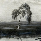 ‚Birke im Moor’, Ölgemälde von Paul Moennich 1897